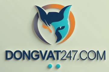 Dongvat247