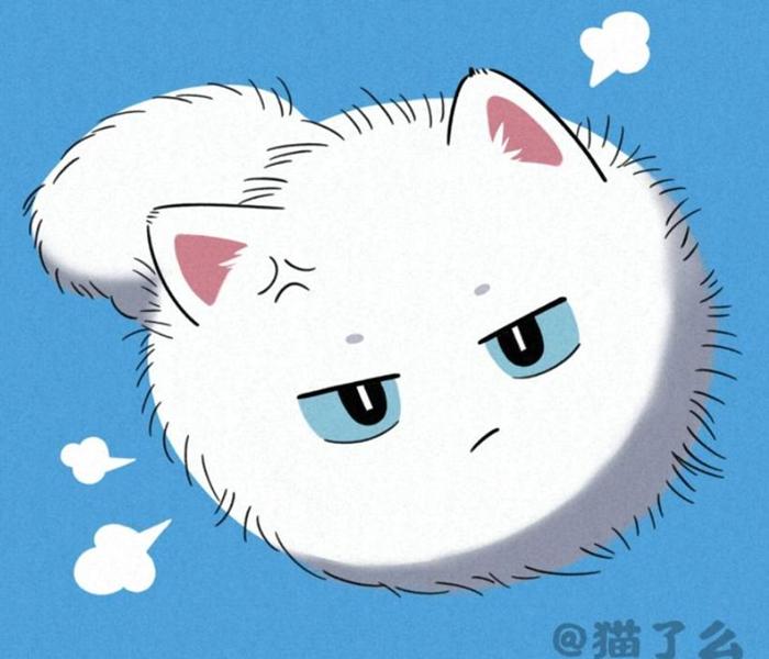 Ảnh đại diện mèo anime cute đáng yêu