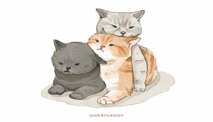 Hình ảnh con mèo chibi dễ thương