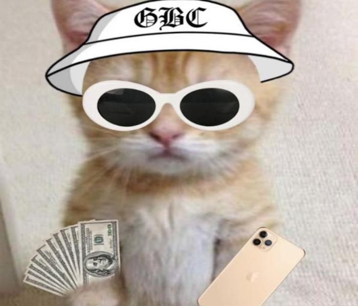 Ảnh meme mèo cầm tiền hài hước
