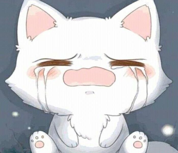 Hình ảnh mèo chibi buồn khóc cute