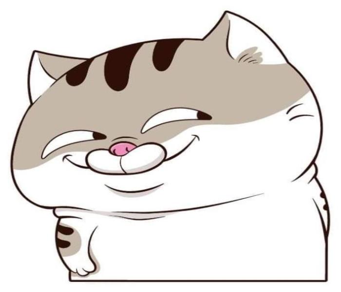 Ảnh mèo mập chibi cute đáng yêu