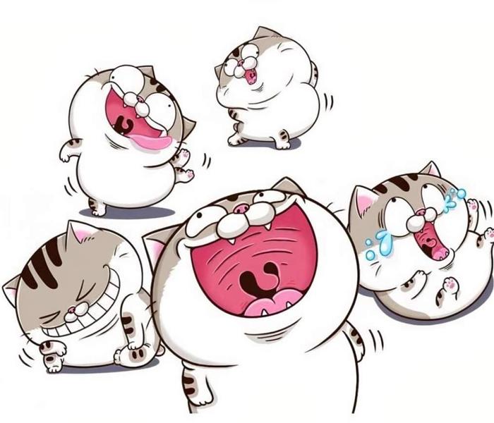 Hình ảnh con mèo mập ú meme hài hước