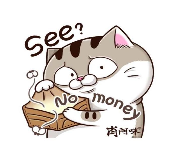 Hình ảnh con mèo mập ú meme hài hước