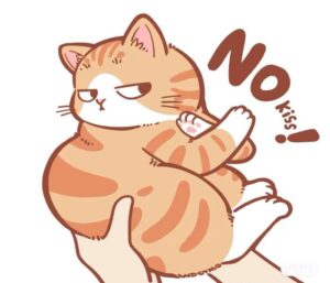 Ảnh mèo mập chibi cute đáng yêu