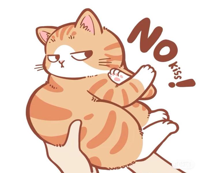 +1930 Hình Nền Mèo Chibi Xinh Cute, Avatar Mèo Chibi Mập Dễ Thương