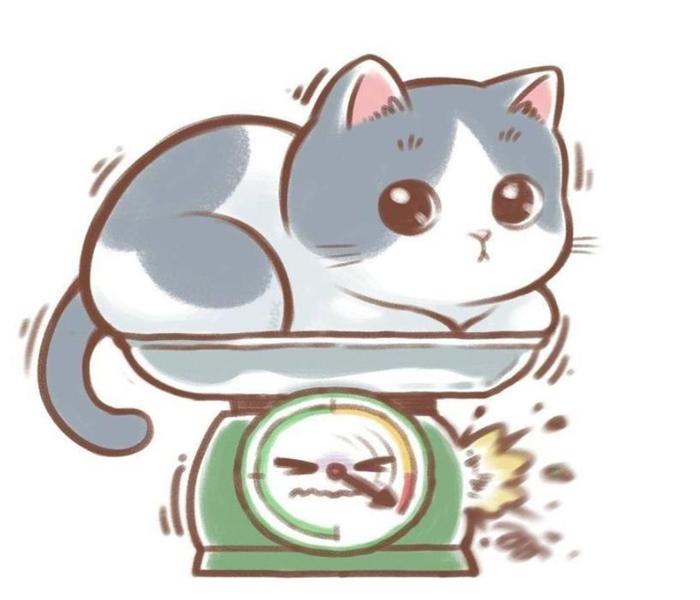 Ảnh mèo mập chibi cute đáng yêu