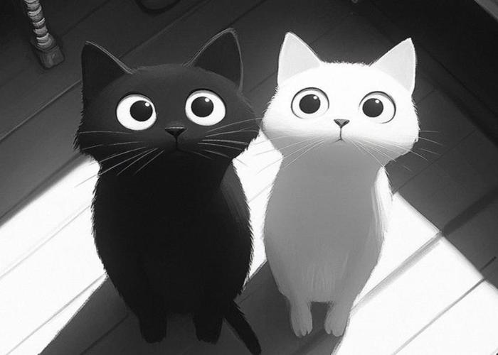 Hình ảnh mèo đen trắng chibi
