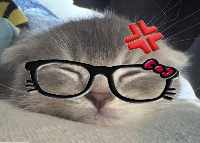 Hình ảnh mèo ngầu đeo kính meme