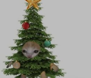 Hình ảnh con mèo meme Giáng Sinh Noel hài hước