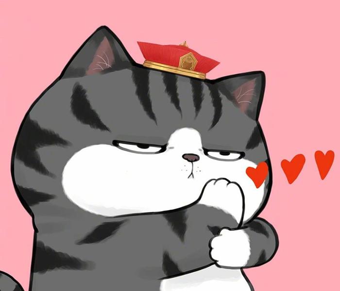 Hình ảnh mèo hoàng thượng cute đáng yêu