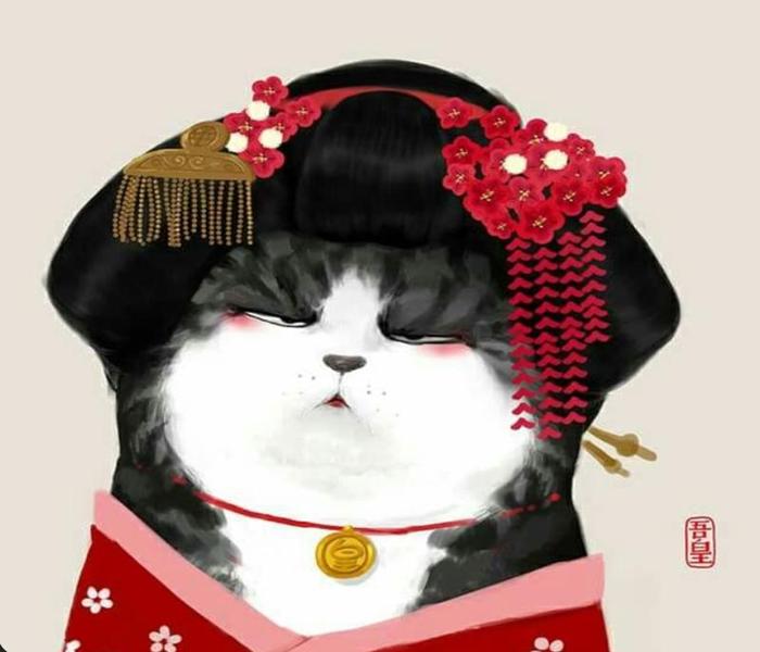 Hình ảnh mèo hoàng thượng cute đáng yêu