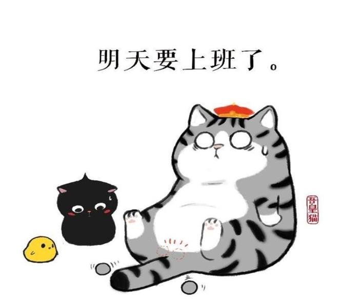 Hình ảnh mèo hoàng thượng cute đáng yêu