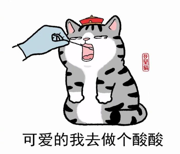 Hình ảnh mèo hoàng thượng cute đáng yêu
