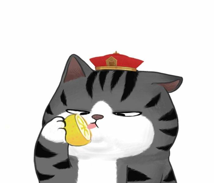 Hình ảnh mèo hoàng thượng cute đáng yêu