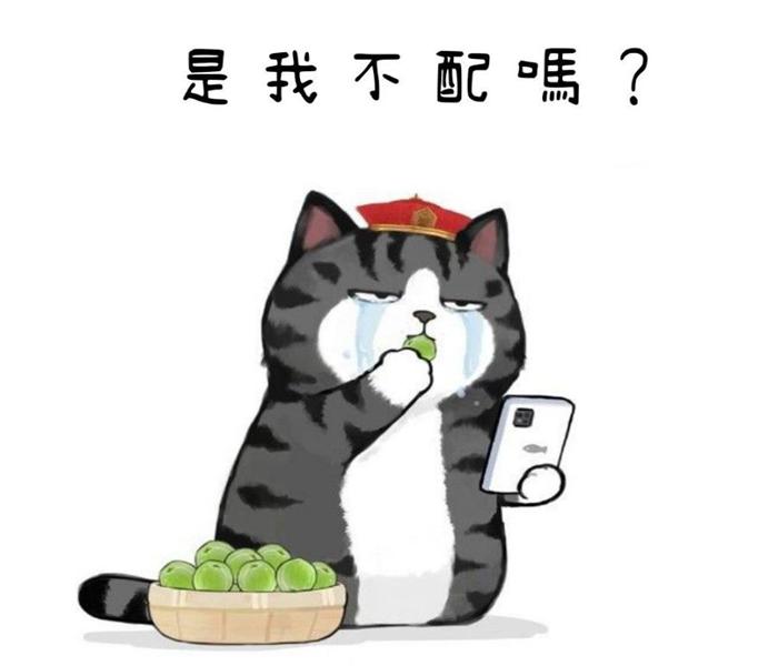 BST ảnh mèo cute dễ thương