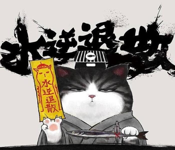 Hình con mèo hoàng thượng cực đẹp