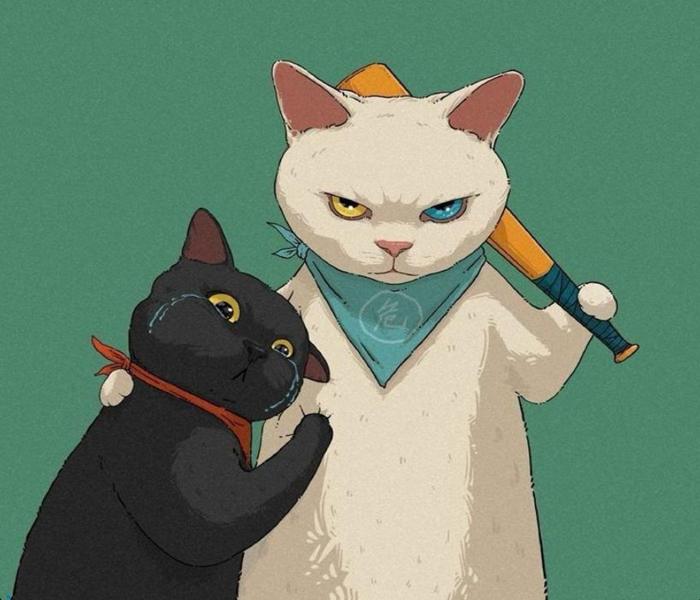 Hình ảnh con mèo ngầu cực kì