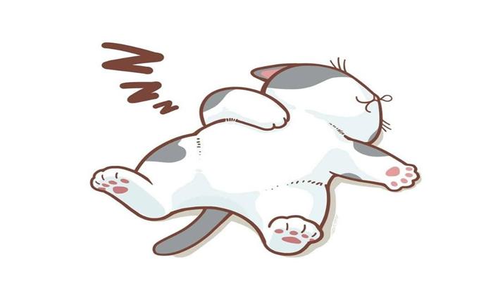 Hình ảnh mèo chibi ngủ xinh