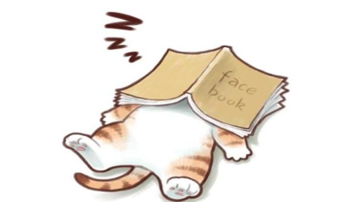 Hình ảnh mèo chibi ngủ xinh