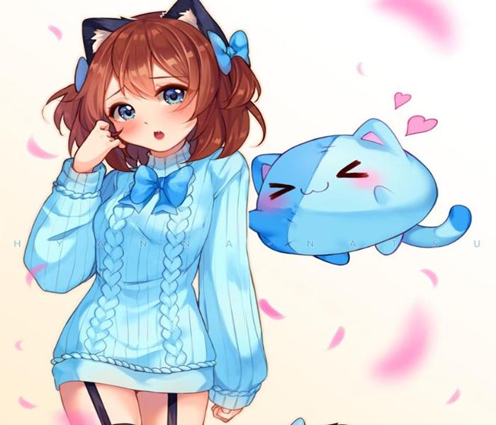 Hình ảnh mèo Simmy đẹp xinh, cute xỉu