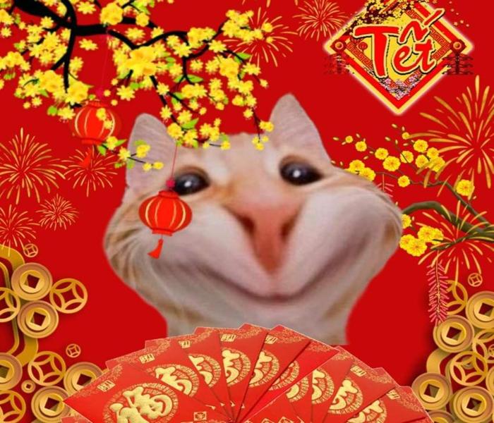 Hình avatar ảnh mèo tết meme đáng yêu