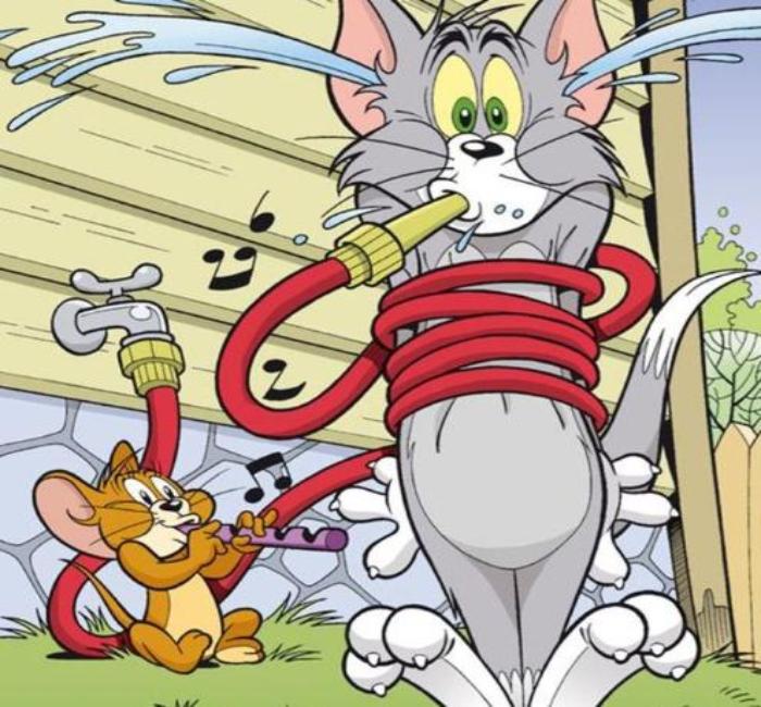 Hình ảnh mèo Tom và Jerry cute ngộ nghĩnh