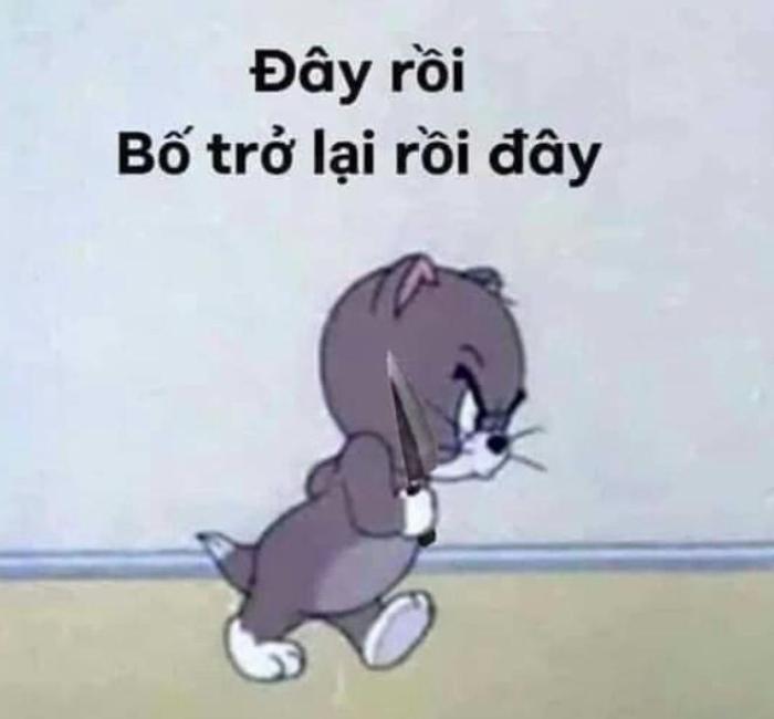 Ảnh Tom và Jerry meme hài hước