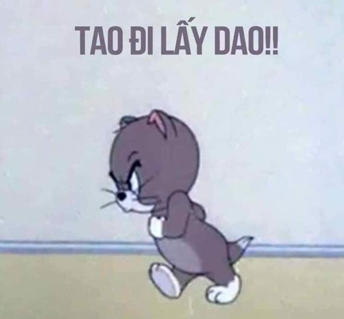 Ảnh Tom và Jerry meme hài hước