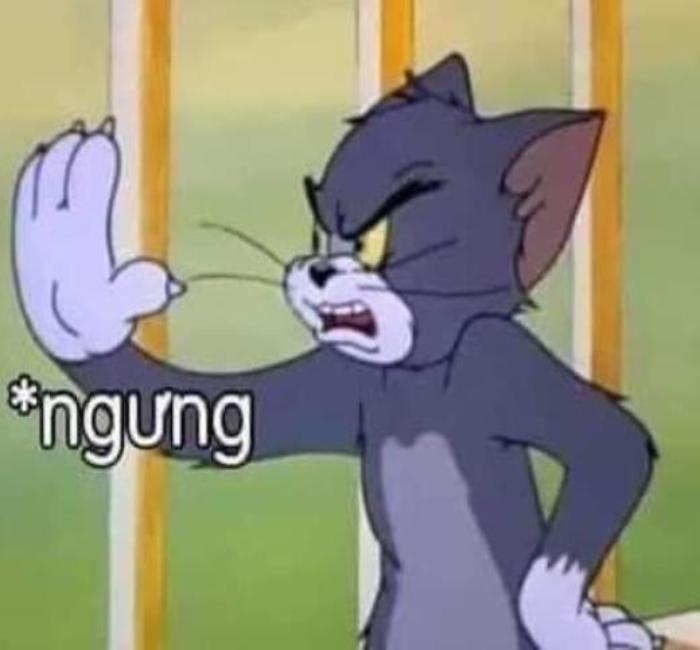 Ảnh Tom và Jerry meme hài hước
