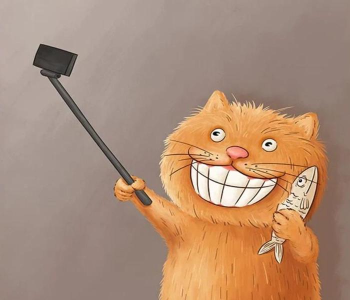 Hình vẽ, tranh tô màu con mèo cute đơn giản