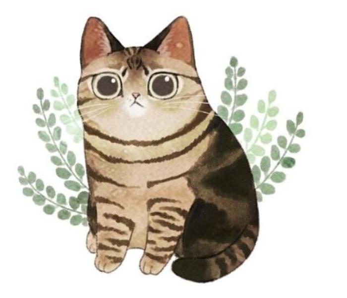 Hình vẽ con mèo đẹp xinh