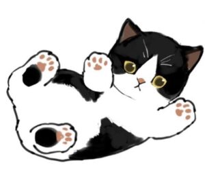Hình vẽ mèo chibi đơn giản cute cho bé