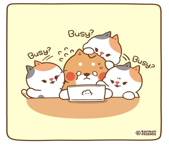 Hình mèo đôi chibi cute