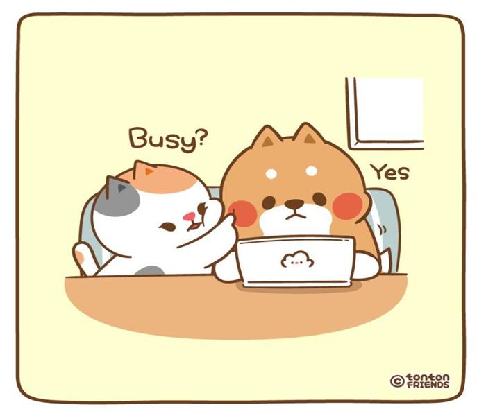 Hình mèo đôi chibi cute