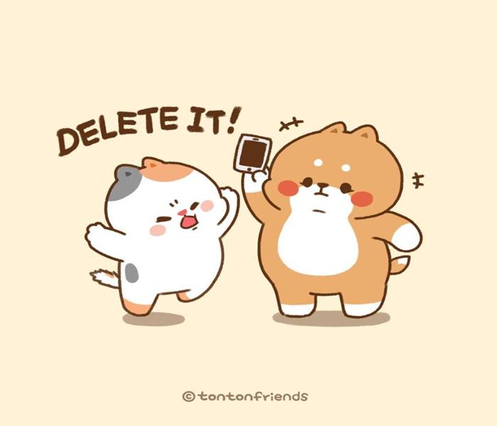 Hình mèo đôi chibi cute