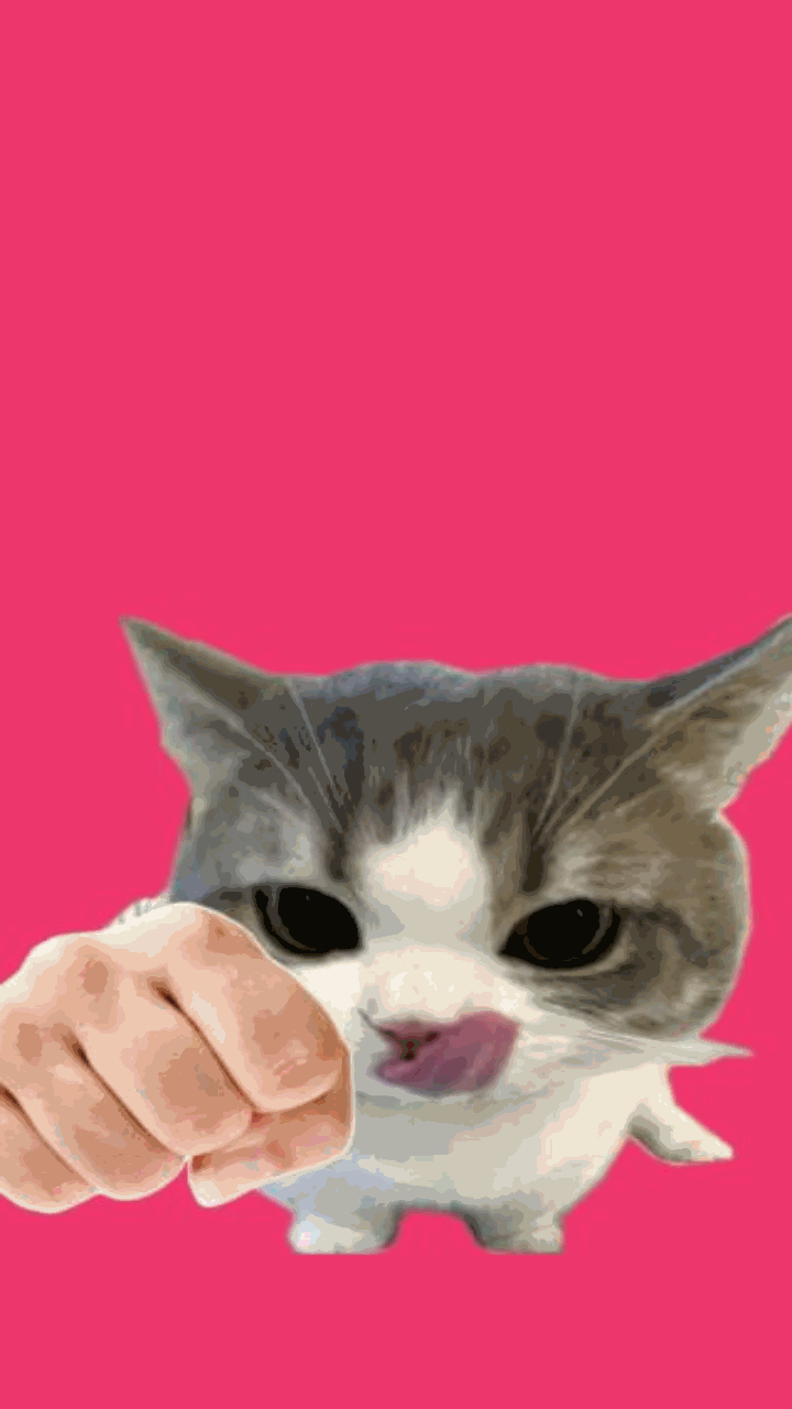 Hình mèo meme cho điện thoại xinh xỉu