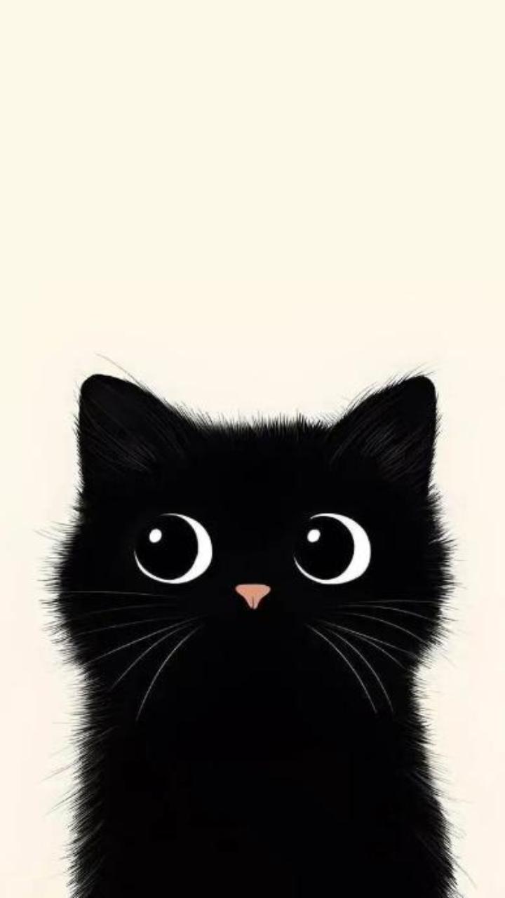 Hình nền mèo đen cute đáng yêu cho điện thoại xinh