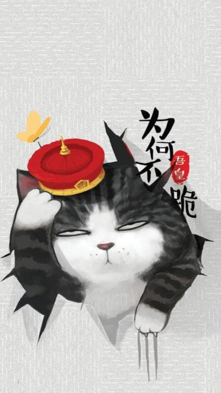 Hình nền mèo hoàng thượng đẹp, cute