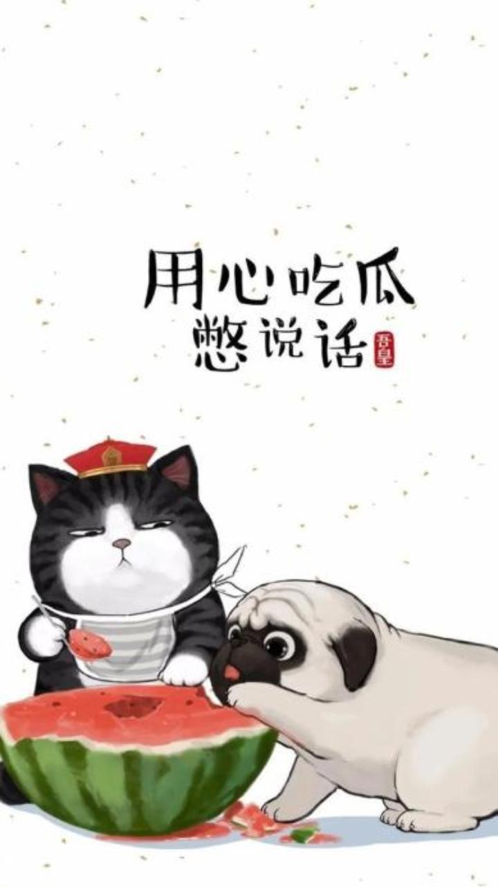 Hình nền mèo hoàng thượng đẹp, cute