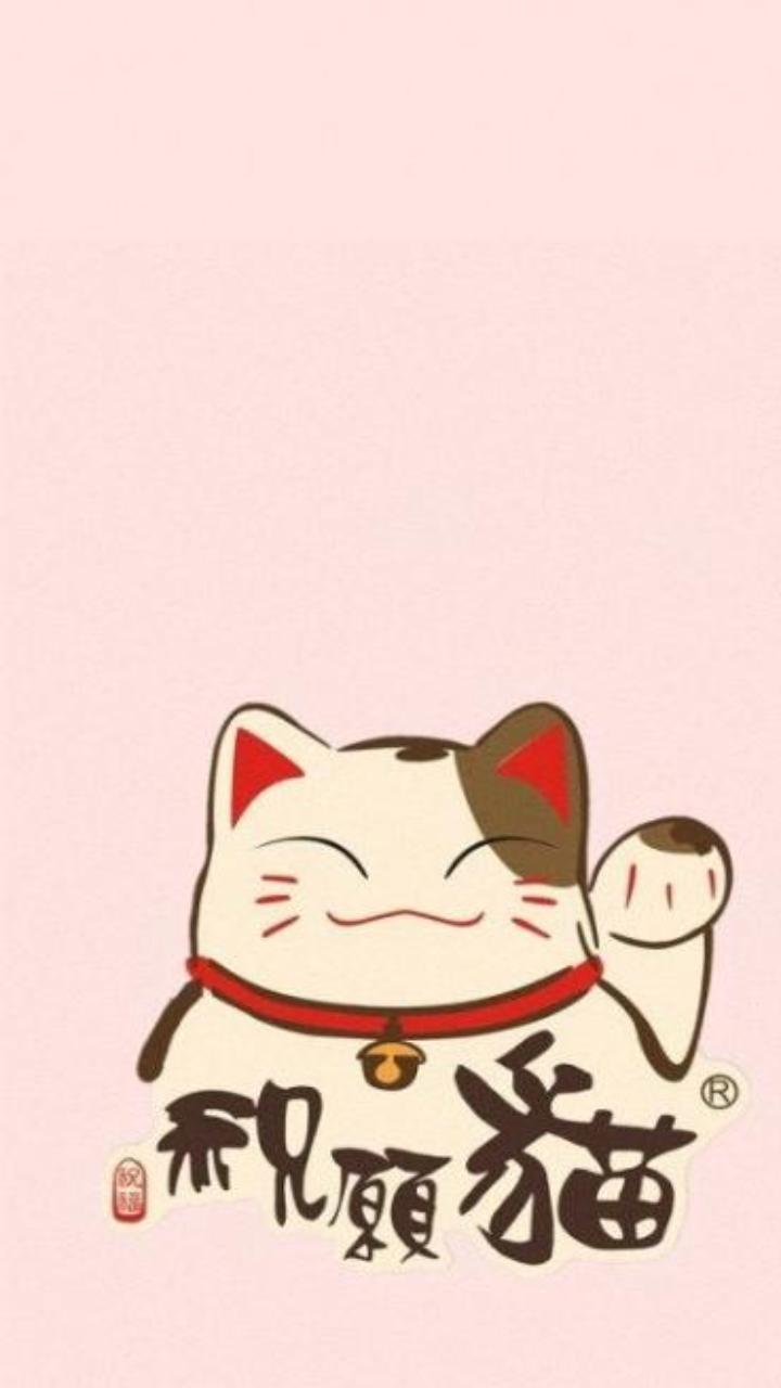 Hình nền mèo thần tài may mắn cute cho điện thoại