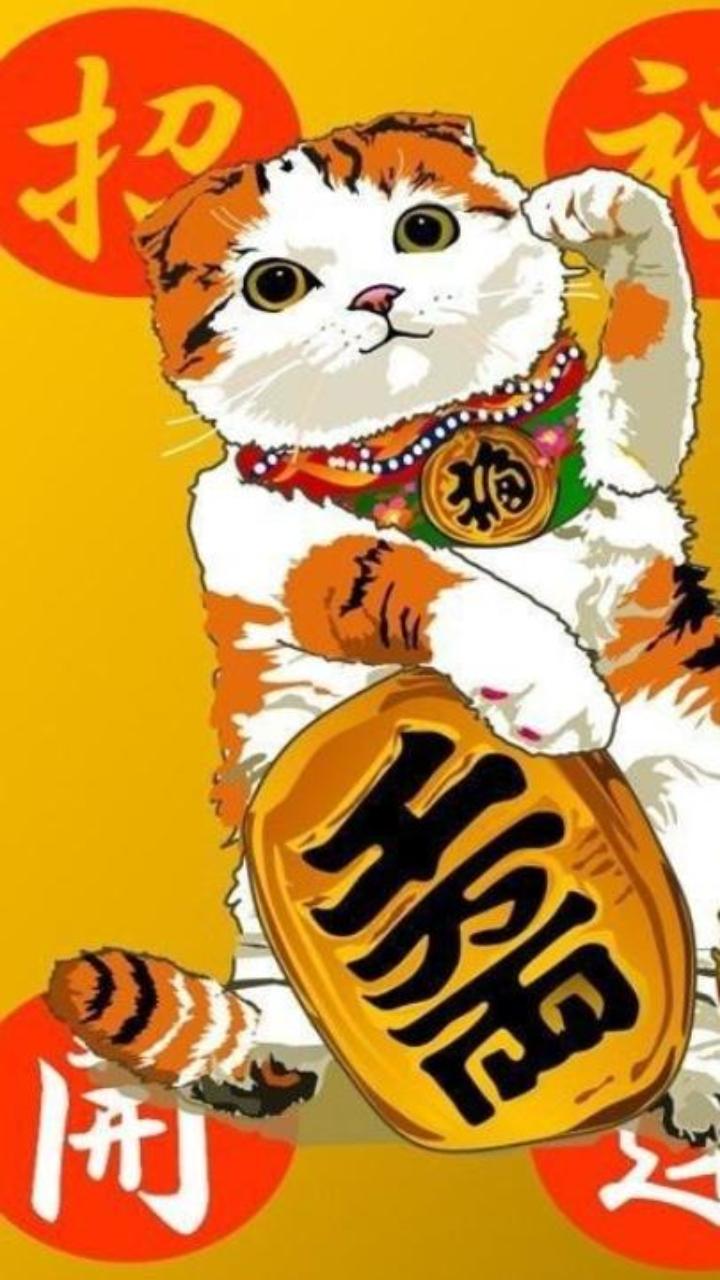 Hình nền mèo thần tài may mắn cute cho điện thoại