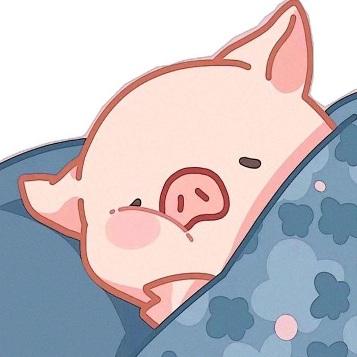 Hình ảnh con heo cute dễ thương