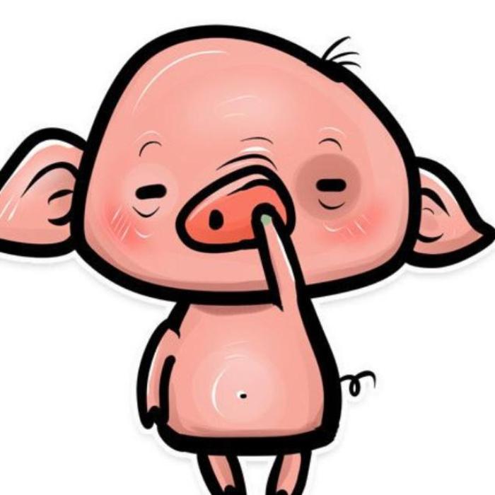 Hình ảnh con heo cute dễ thương
