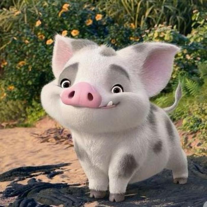 Hình ảnh con lợn hoạt hình