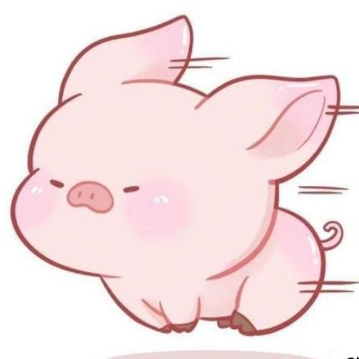 Hình ảnh con heo mập cute