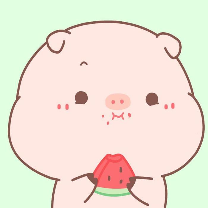 Hình ảnh con heo mập cute