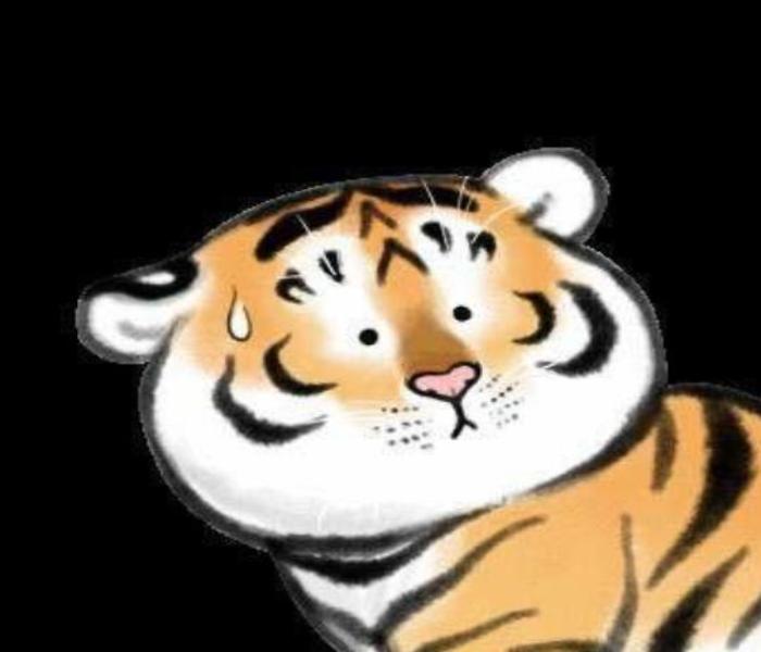Hình ảnh con hổ meme cute