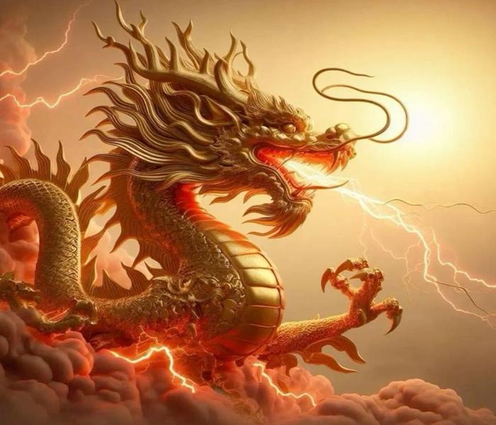 Bộ ảnh rồng vàng đẹp xỉu