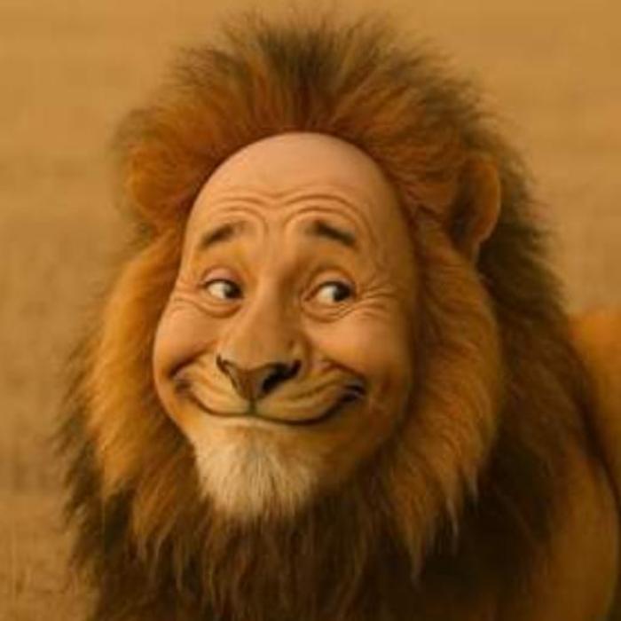 Hình ảnh sư tử lầy lội